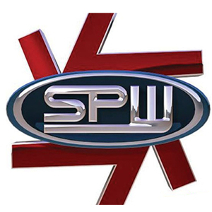 Specialty Power Windows